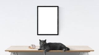 ミニマル 猫