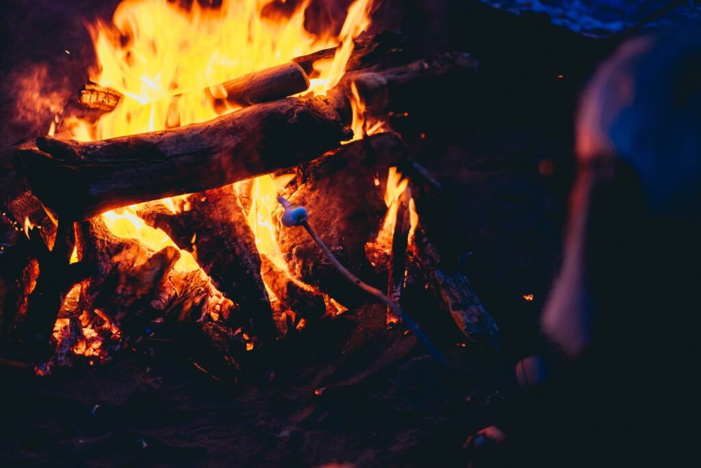 薪暖炉　焚き火