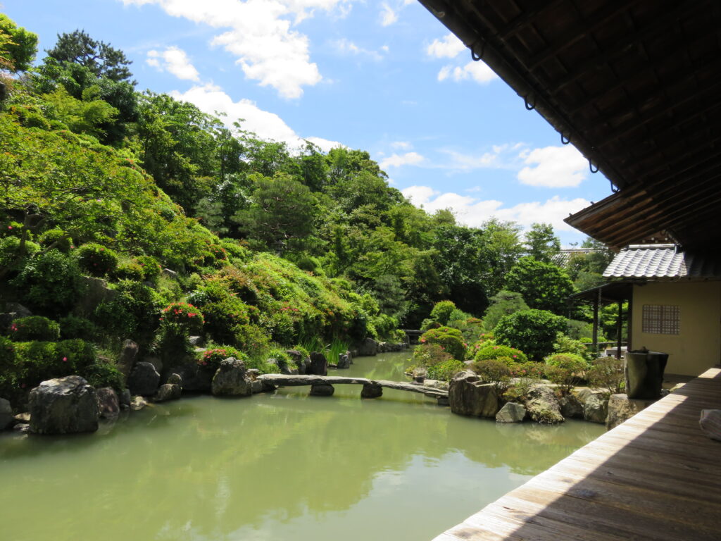 日本庭園　池　築山